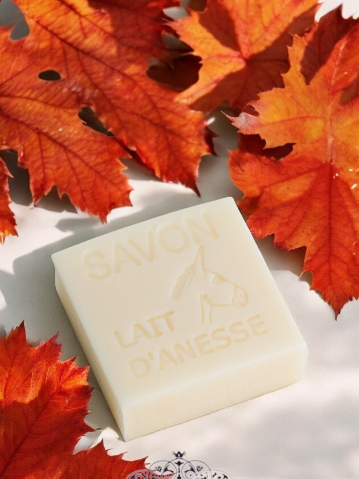 SAVONITTO Donkey Milk Soap
